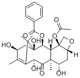 CAS: 32981-86-5 | 10-Deacetylbaccatin III
