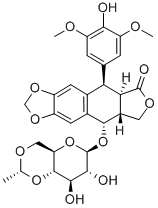 CAS:33419-42-0 |Etopozid