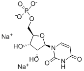 CAS:3387-36-8 |Disodium uridine-5'-monophosphate