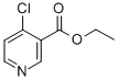 CAS:37831-62-2 |4-HLORNIKOTĪNSKĀBES ETILESTERA hidrohlorīds