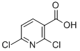 CAS:38496-18-3 |2,6-Дихлороникотин кислотасы