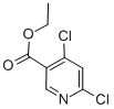 CAS: 40296-46-6 |Этил 4,6-дихлороникотинат