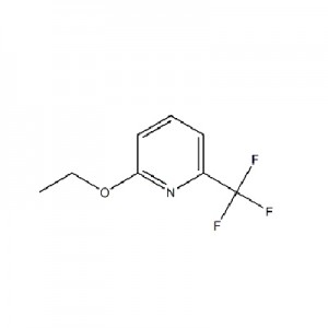 CAS:1245563-18-1 | 2-Ethoxy-6-trifluoromethylpyridine | C8H8F3NO