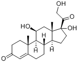CAS:50-23-7 |Hidrocortisona