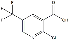 CAS:505084-59-3 |kyselina 2-chlór-5-(trifluórmetyl)-3-pyridínkarboxylová