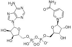 CAS:53-84-9 |бета-дифосфопіридиновий нуклеотид