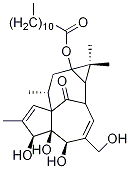 CAS:54706-70-6 |I-Dodecanoic acid ingenol ester