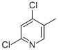 CAS:56961-78-5 |2,4-dicloro-5-metilpiridina
