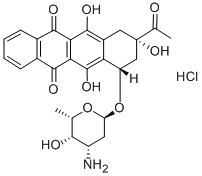 CAS:57852-57-0 | Idarubicin hydrochloride