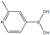 CAS:579476-63-4 |kyselina 2-metylpyridín-4-borónová
