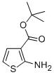 CAS:59739-05-8 |2-AMINOTHIOPHENE-3-CARBOXYLIC ASID T-BUTYL ESTER