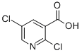 CAS:59782-85-3 |2,5-Διχλωρονικοτινικό οξύ