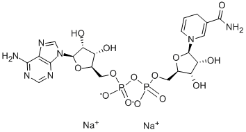 CAS:606-68-8 |beta-nikotinamid adenindinukleotiddinatriumsalt