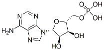 CAS:61-19-8 | Adenosine 5′-monophosphate
