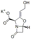 CAS:61177-45-5 | Potassium clavulanate