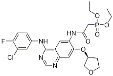 CAS:618061-76-0 | (S)-diethyl 2-(4-(3-chloro-4-fluorophenylamino)-7-(tetrahydrofuran-3-yloxy)quinazolin-6-ylamino)-2-oxoethylphosphonate