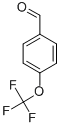 CAS : 659-28-9 |4-(Trifluorométhoxy)benzaldéhyde
