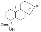 CAS:6730-83-2 | kaurenoic acid