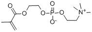 CAS:67881-98-5 | 2-methacryloyloxyethyl phosphorylcholine