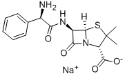 CAS:69-52-3 | Ampicillin sodium