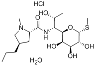 CAS:7179-49-9 | Lincomycin hydrochloride monohydrate