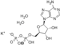CAS:72696-48-1 |ADENOSINE 5′-DIPHOSPHATE MONOPOTASSIUM SALT