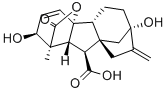 CAS:77-06-5 | Gibberellic acid
