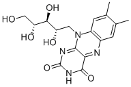 CAS:83-88-5 | Riboflavin