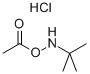CAS:851074-40-3 | O-Acetyl-N-tert-butylhydroxylamine Hydrochloride