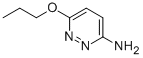 CAS:90008-50-7 | 6-Propoxypyridazin-3-amine