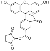 CAS:92557-80-7 | 5-Carboxyfluorescein N-succinimidyl ester