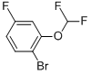 CAS:954235-83-7 | 1-Bromo-2-difluoromethoxy-4-fluoro-benzene