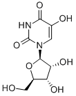 CAS:957-77-7 |5-హైడ్రాక్సీయూరిడిన్