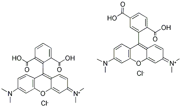 CAS:98181-63-6 |5(6)-карбокситетраметилродамин