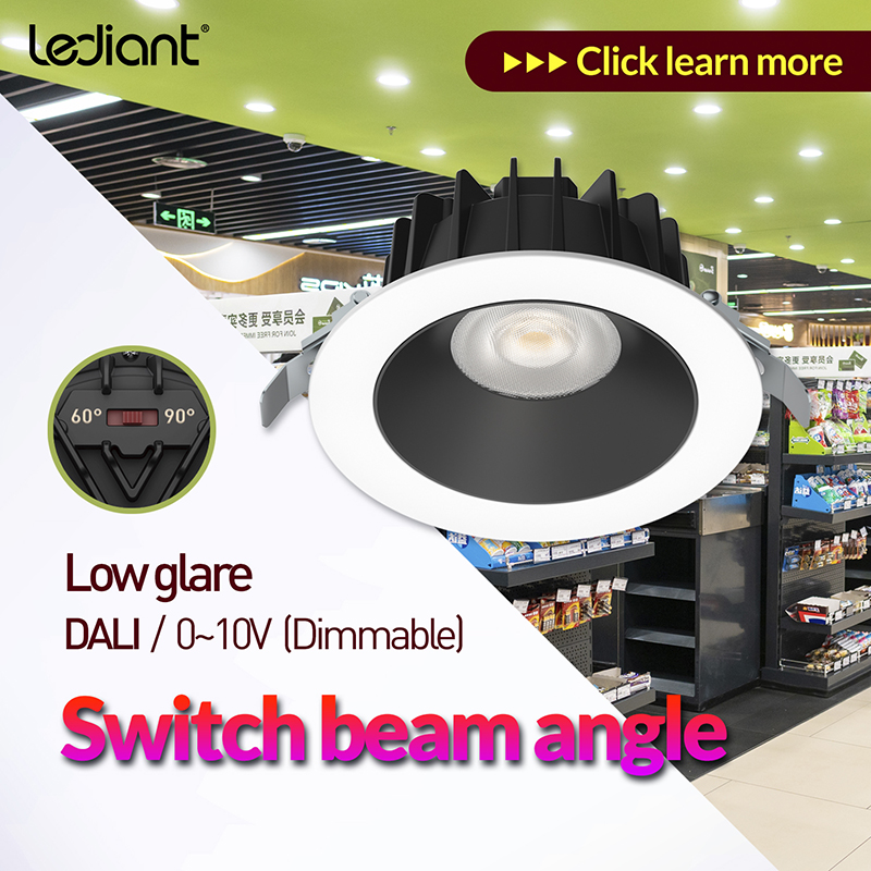 Factory wholesale Durable Fashion Fitting Led Downlights - 2 Beam Angles SWITCHABLE  8W/10W/15W/18W/20W/25W/30W/35W Commercial downlights – Radiant Lighting