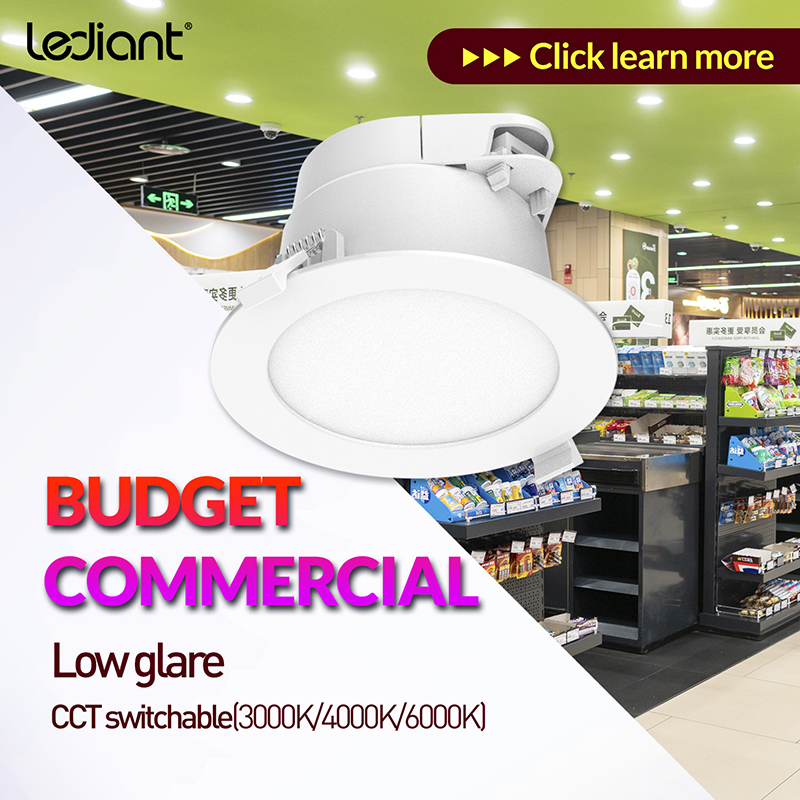 factory low price High Quality Integrated Led Downlight - CCT Switchable 13W Commercial Downlight – Radiant Lighting