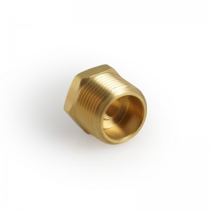 Legines Brass Pipe Fiting, Hex Bushing