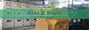 Professional China Cummins Power Generators - Automatic diesel generator with AMF ATS Diesel generator remote control Leton power – Leton