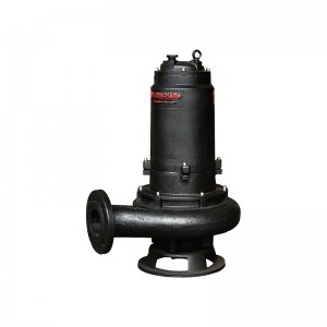 High Quality Submersible Sewage Lifting Device - SUBMERSIBLE SEWAGE PUMP – Liancheng
