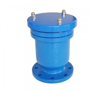 Usisni cilindrični prirubnički automatski brzi ispušni ventil