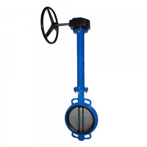 Extended Spindle Butterfly Valve Long Stem