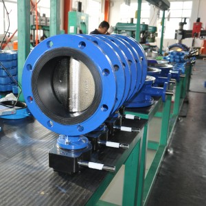 Flange Worm Gear Cast Iron Butterfly Valve for Flow Control