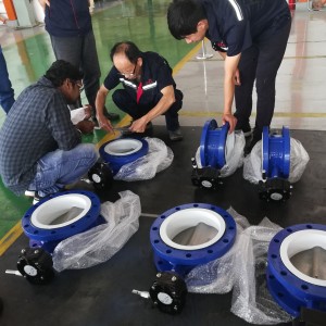 Flanged DN800 PTFE Sealing Butterfly Valve with Gear Operation