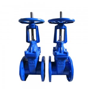 Rising Ansi 125 150 Resilient Gate Valve With Long Stem