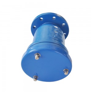 Suction Cylindrical Flange Automatic Quick Exhaust Valve