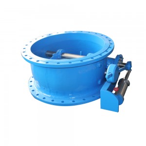 OEM Supply Butterfly Swing Flange Check Valve with Counterweight