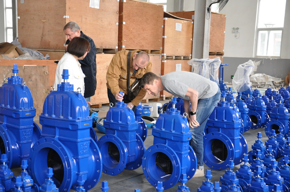 How to choose a suitable Chinese valve model: China Valve Selection Guide