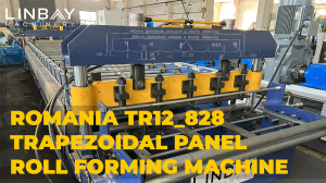 Romania Trapezoidal Panel TR12_828 Roll Forming Machine
