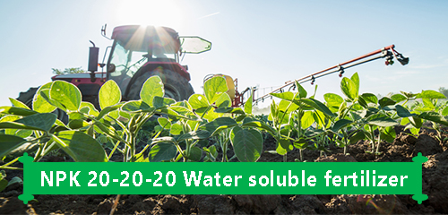 NPK 20-20-20 Water soluble fertilizer supplier