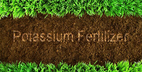 Factors affecting the use of potassium fertilizer